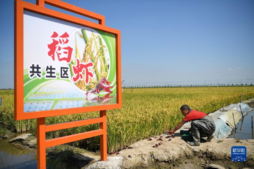 缅甸百胜帝宝